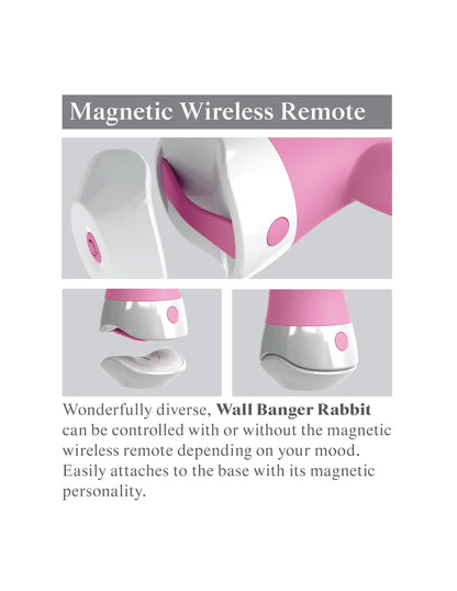 Wall Banger Rabbit